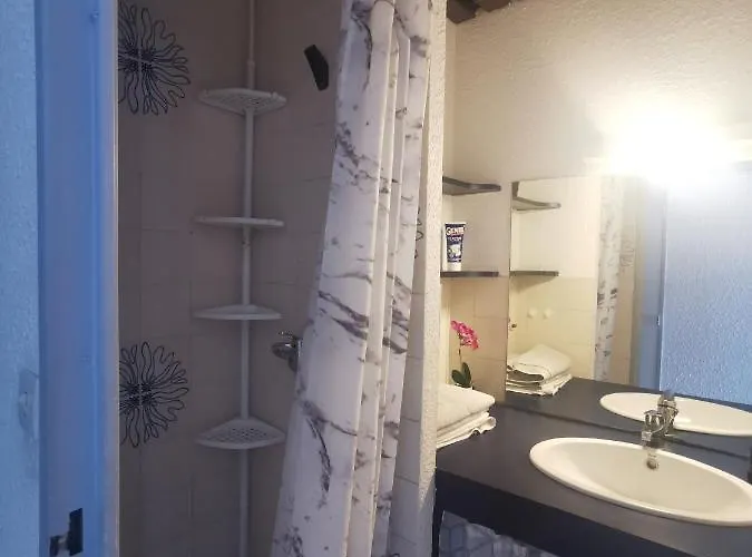 Meublé 4 à 6 Couchages Le Lagon Bleu Du Roi *